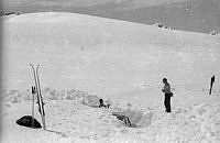 FP_16456.jpg