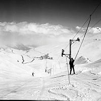 FP_16784.jpg